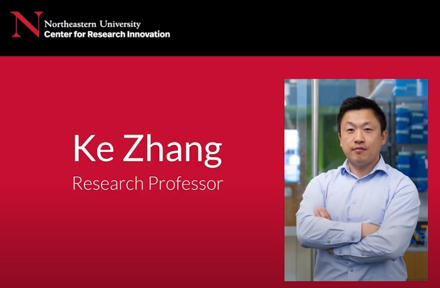 Unlocking the Potential of DNA-Polymer Constructs for Disease Treatment ...